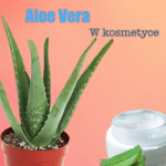 Aloes w kosmetykach- właściwości i zastosowanie