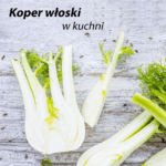 Koper włoski zastosowanie w kuchni