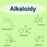 Co to są alkaloidy