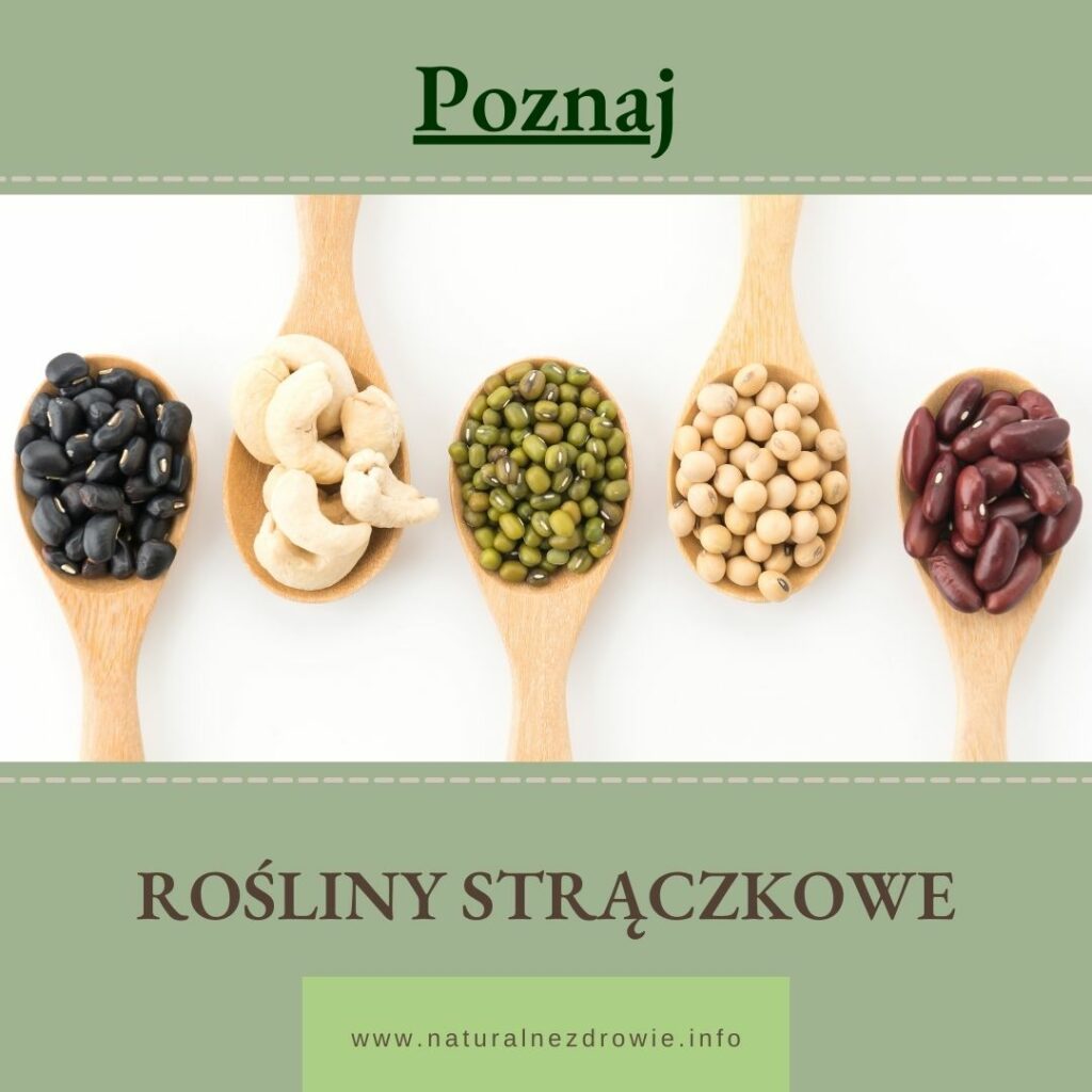 Poznaj rośliny strączkowe